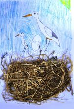 Konrádová Stela.jpg